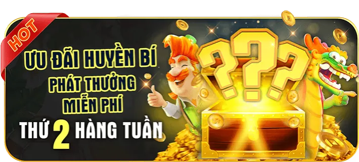 79king 6 nhận xét khách quan