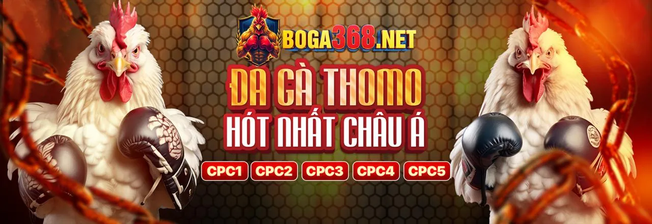 Đá Gà Trực Tiếp SV388 79king 6